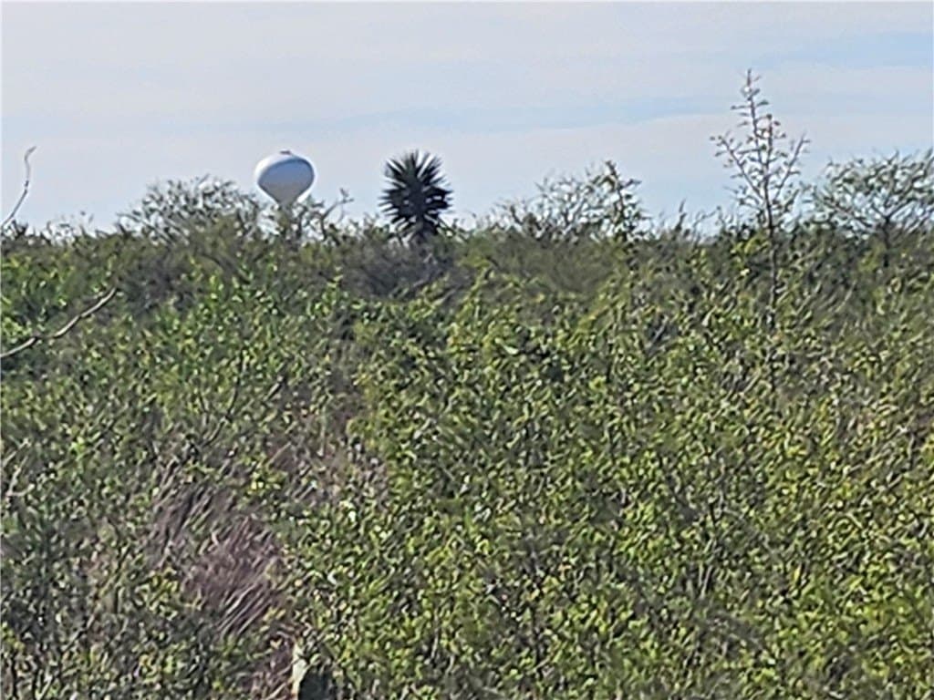 0.99 acres in Jim Wells County gallery image 2