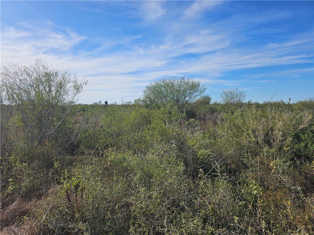 0.99 acres in Jim Wells County