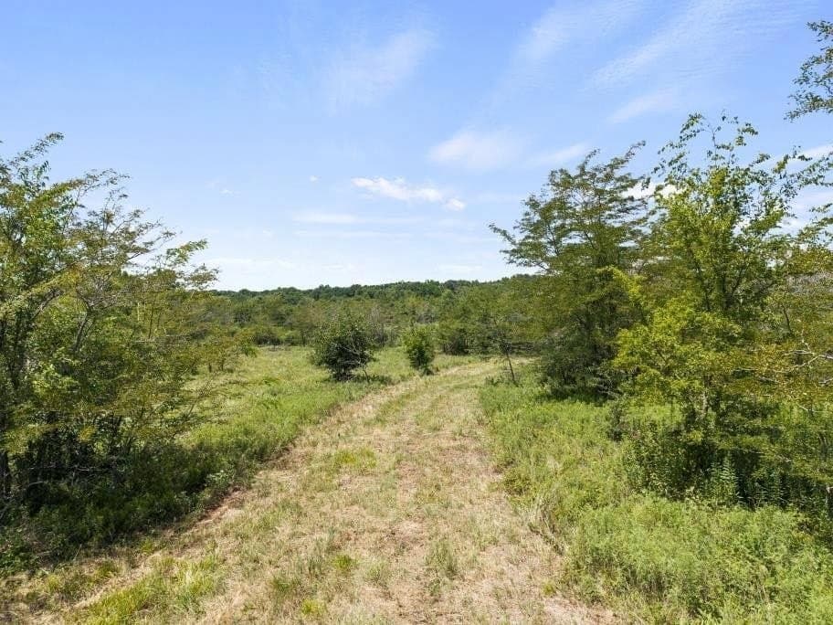 525.08 acres in Hopkins County gallery image 4