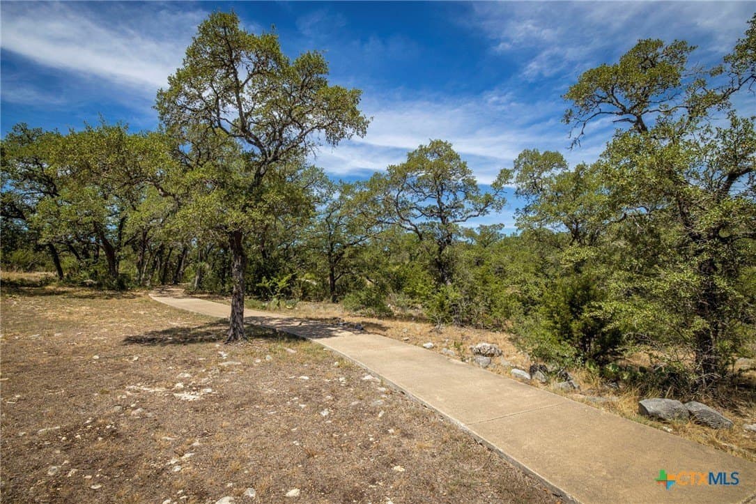 3.07 acres in Comal County gallery image 4