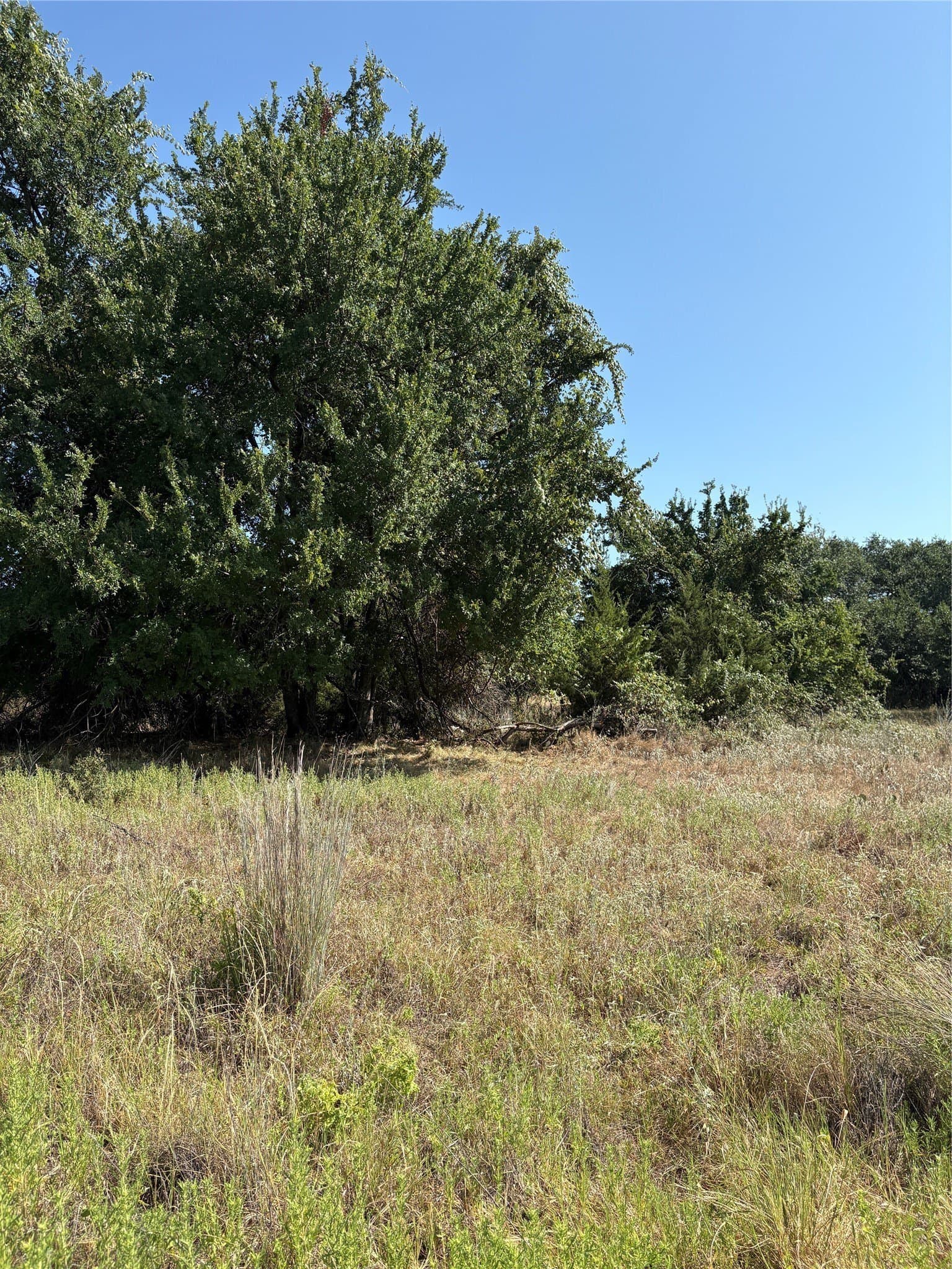 35.56 acres in Parker County - photo 8