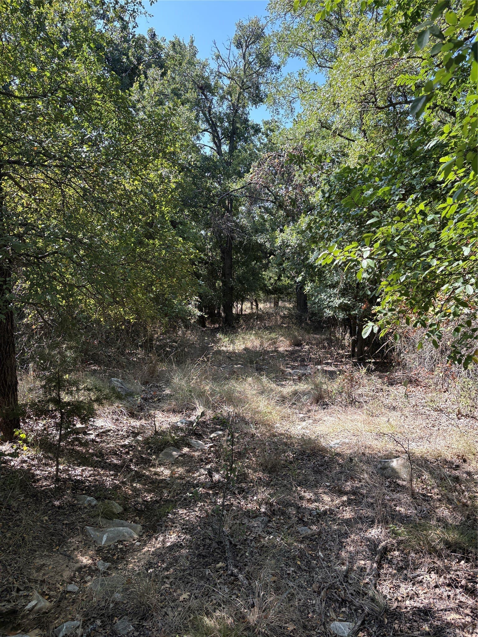35.56 acres in Parker County - photo 2