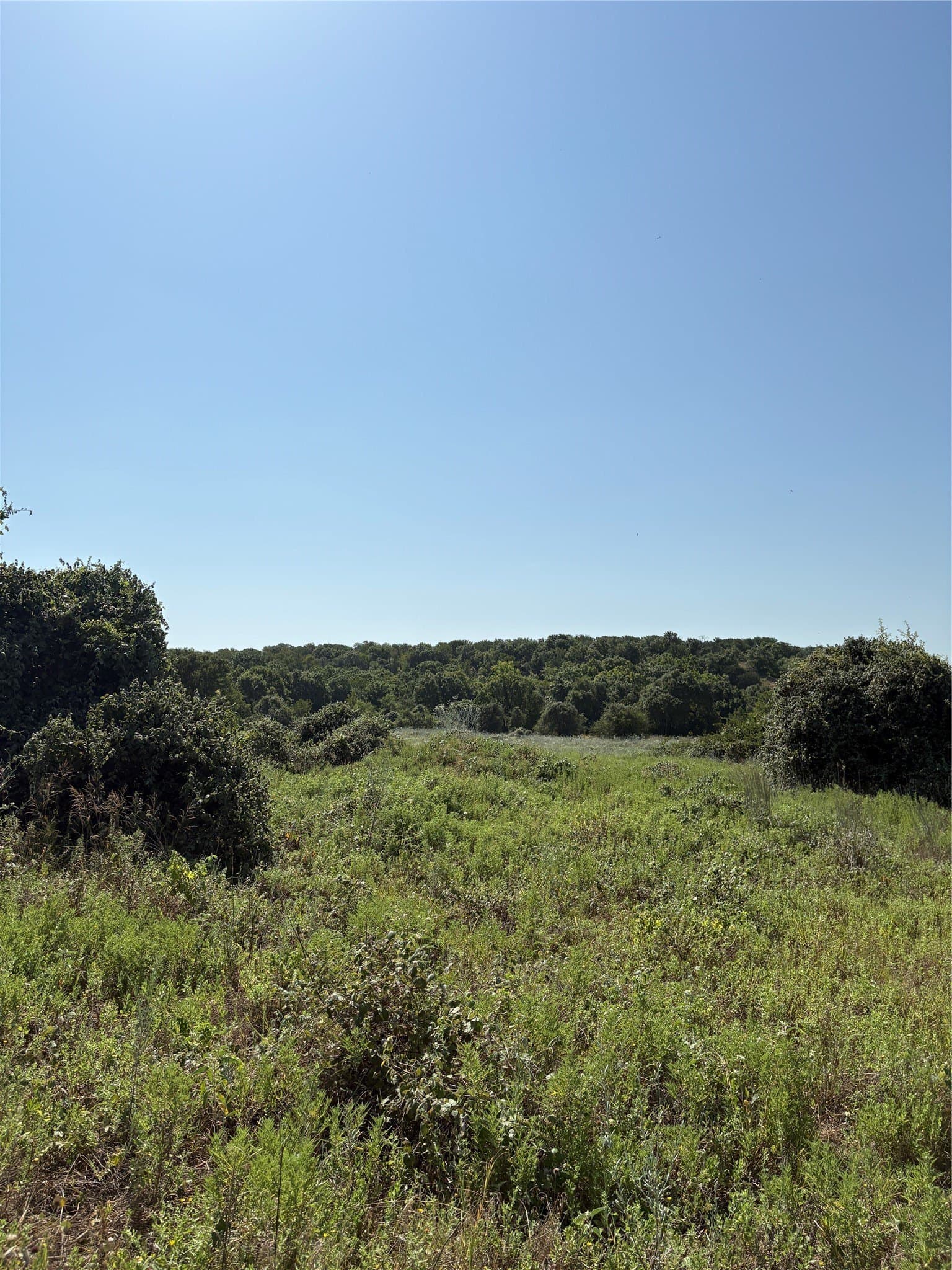 35.56 acres in Parker County - photo 5