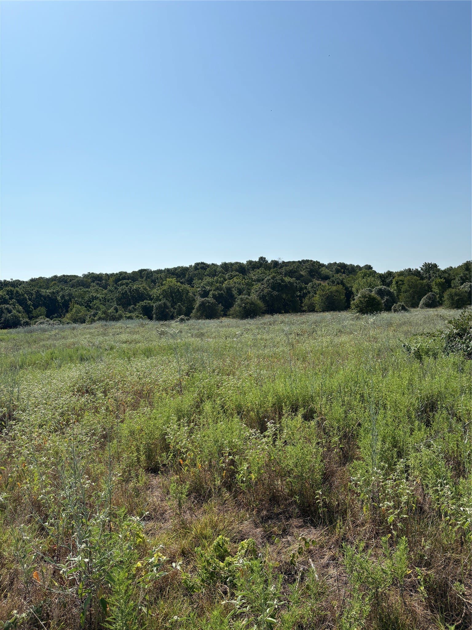 35.56 acres in Parker County - photo 6