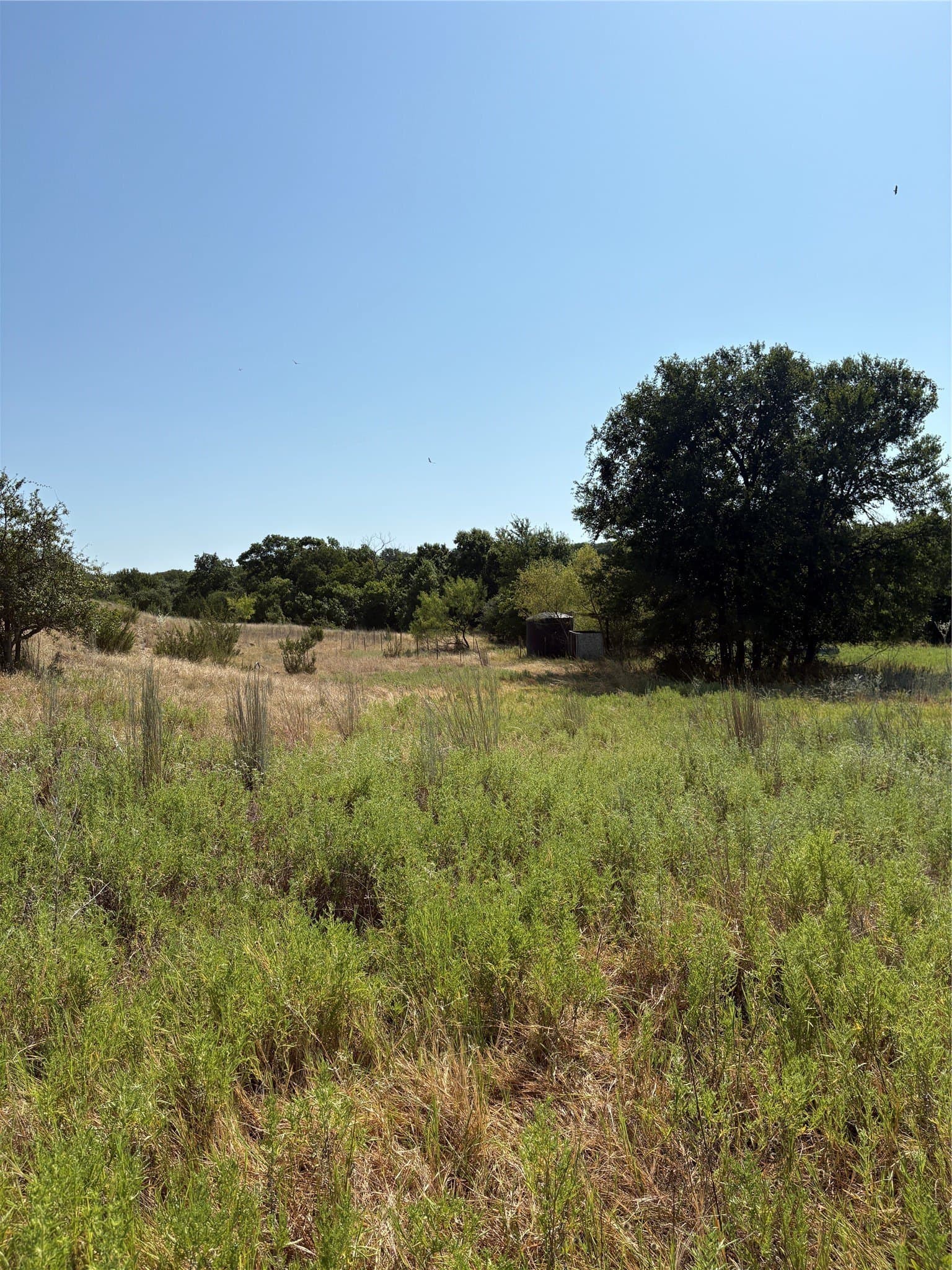 35.56 acres in Parker County - photo 7