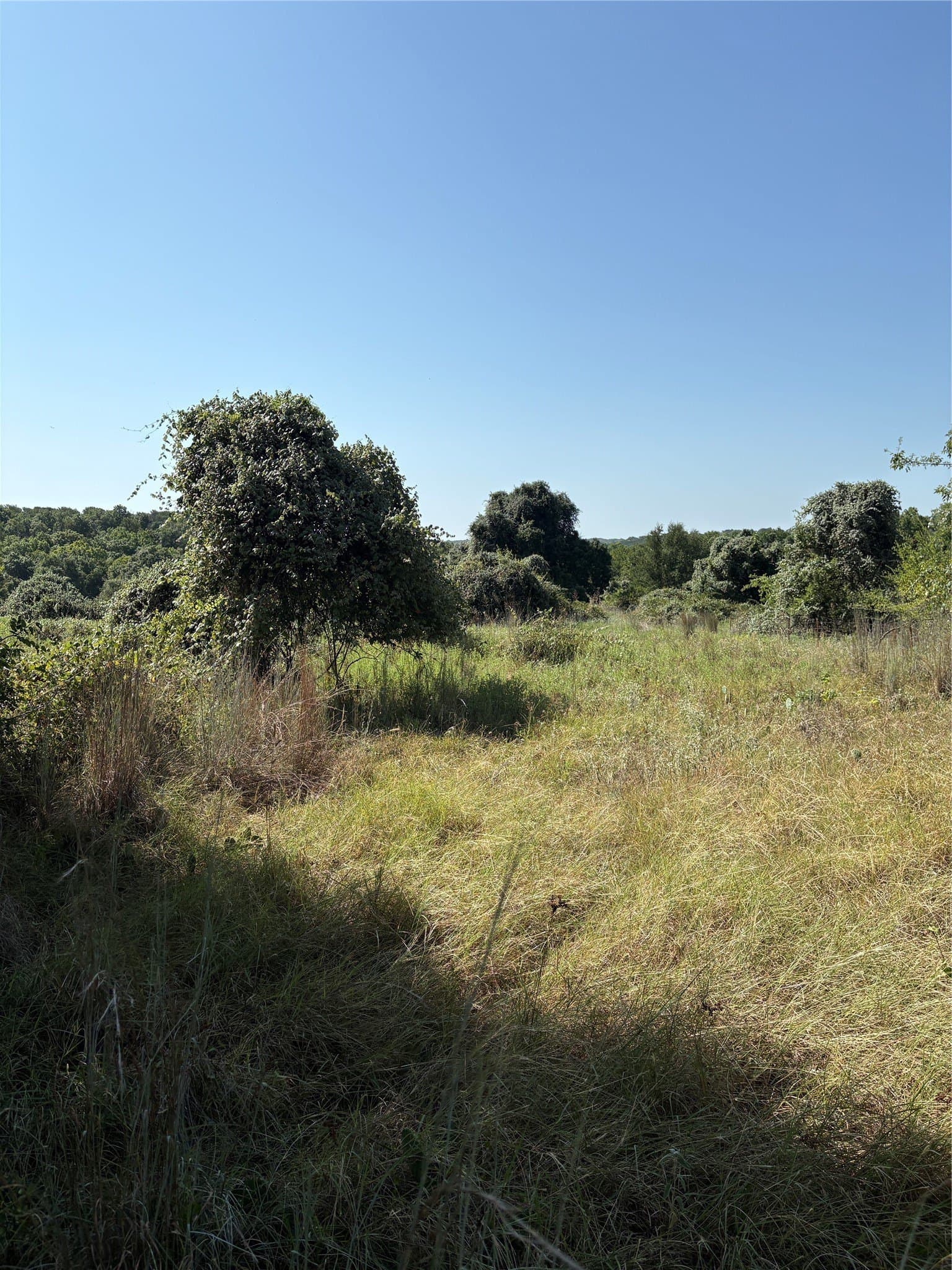35.56 acres in Parker County - photo 4
