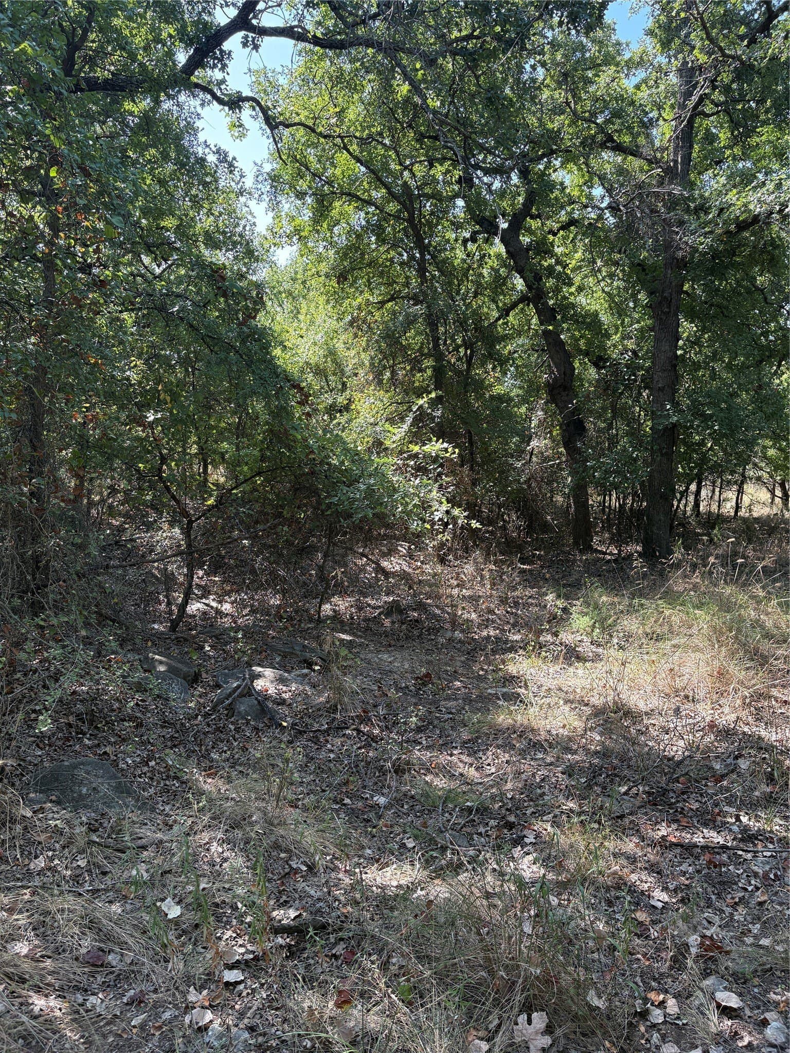 35.56 acres in Parker County - photo 3