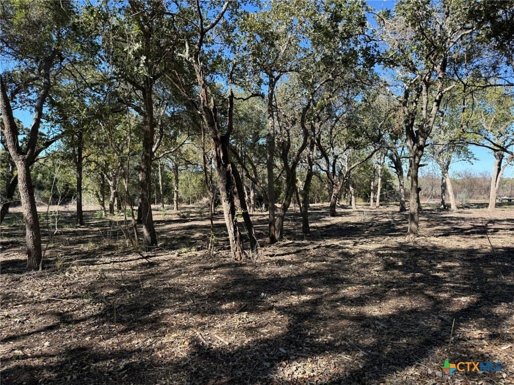 17.61 acres in Victoria County gallery image 4