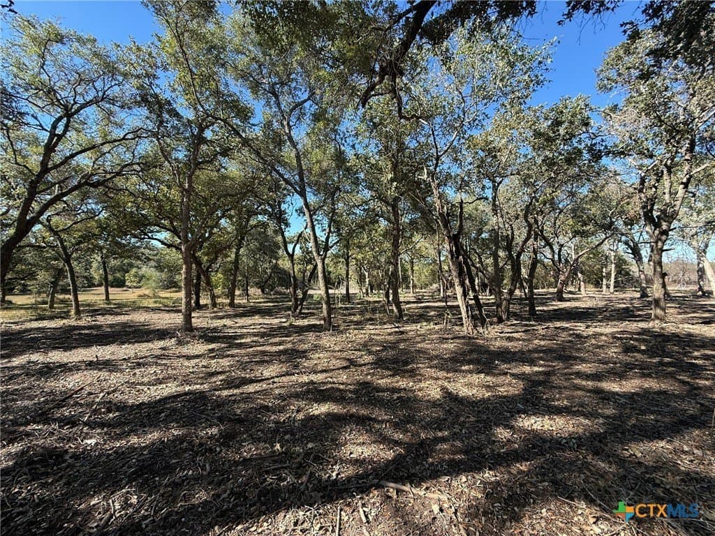 17.61 acres in Victoria County gallery image 3