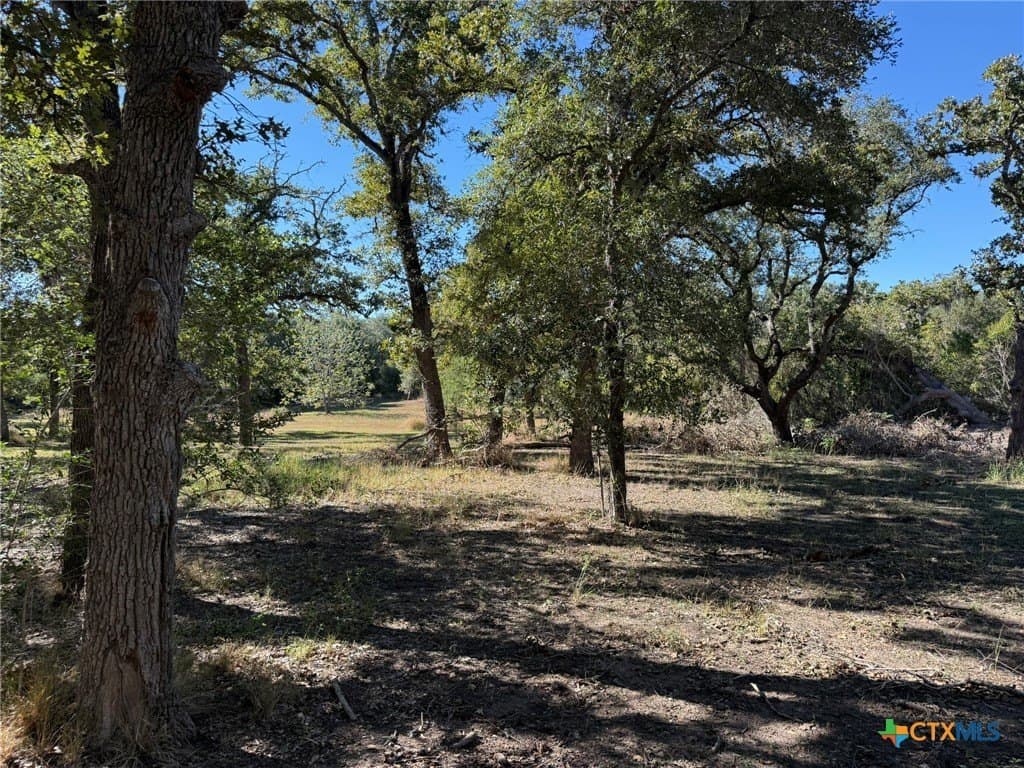 17.61 acres in Victoria County featured view