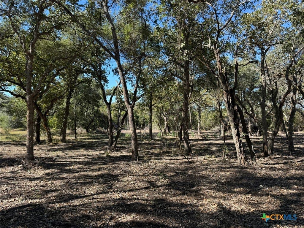 17.61 acres in Victoria County