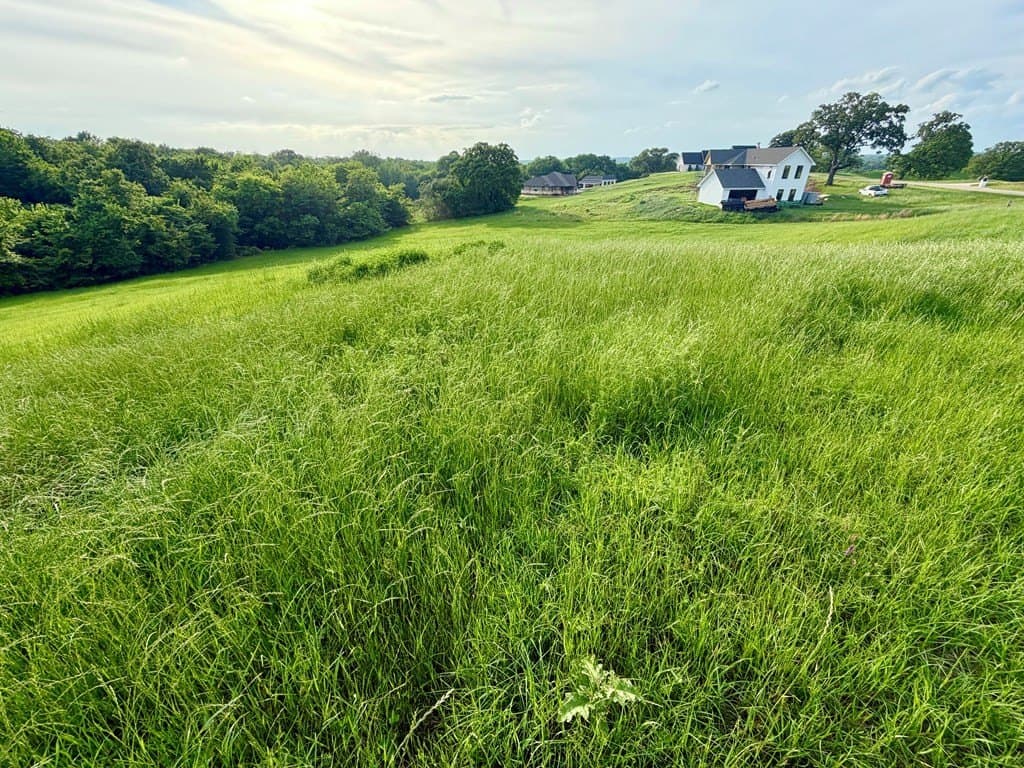 1 acres in Henderson County gallery image 2