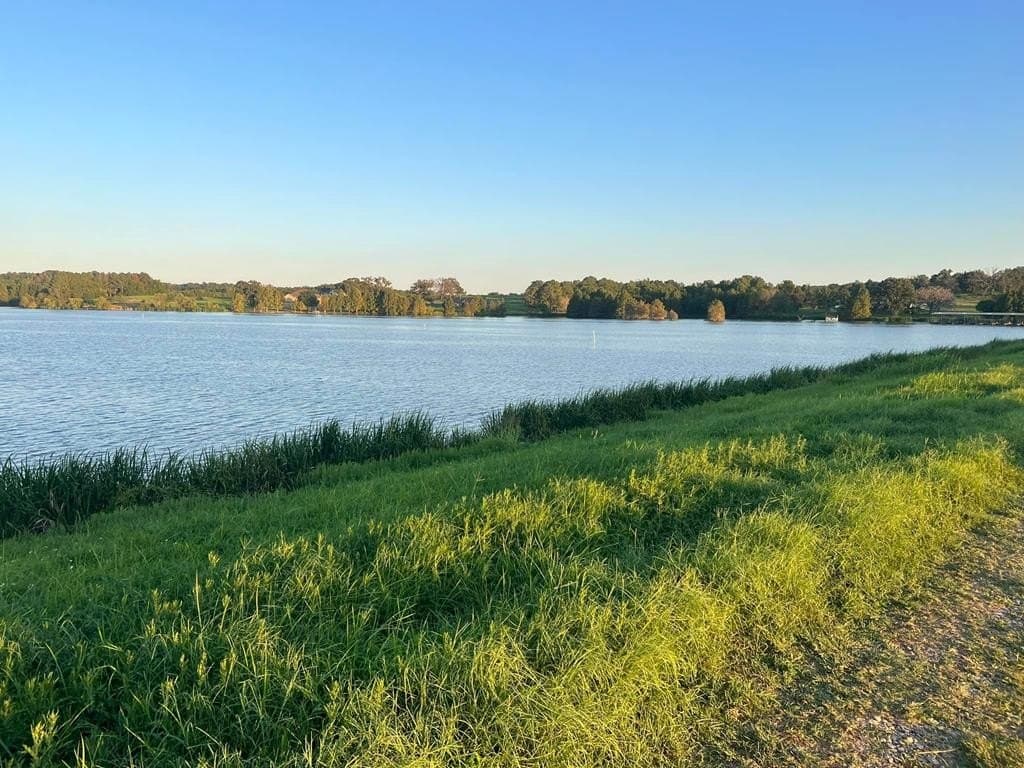1 acres in Henderson County - photo 10