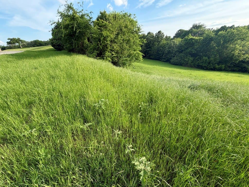 1 acres in Henderson County gallery image 3