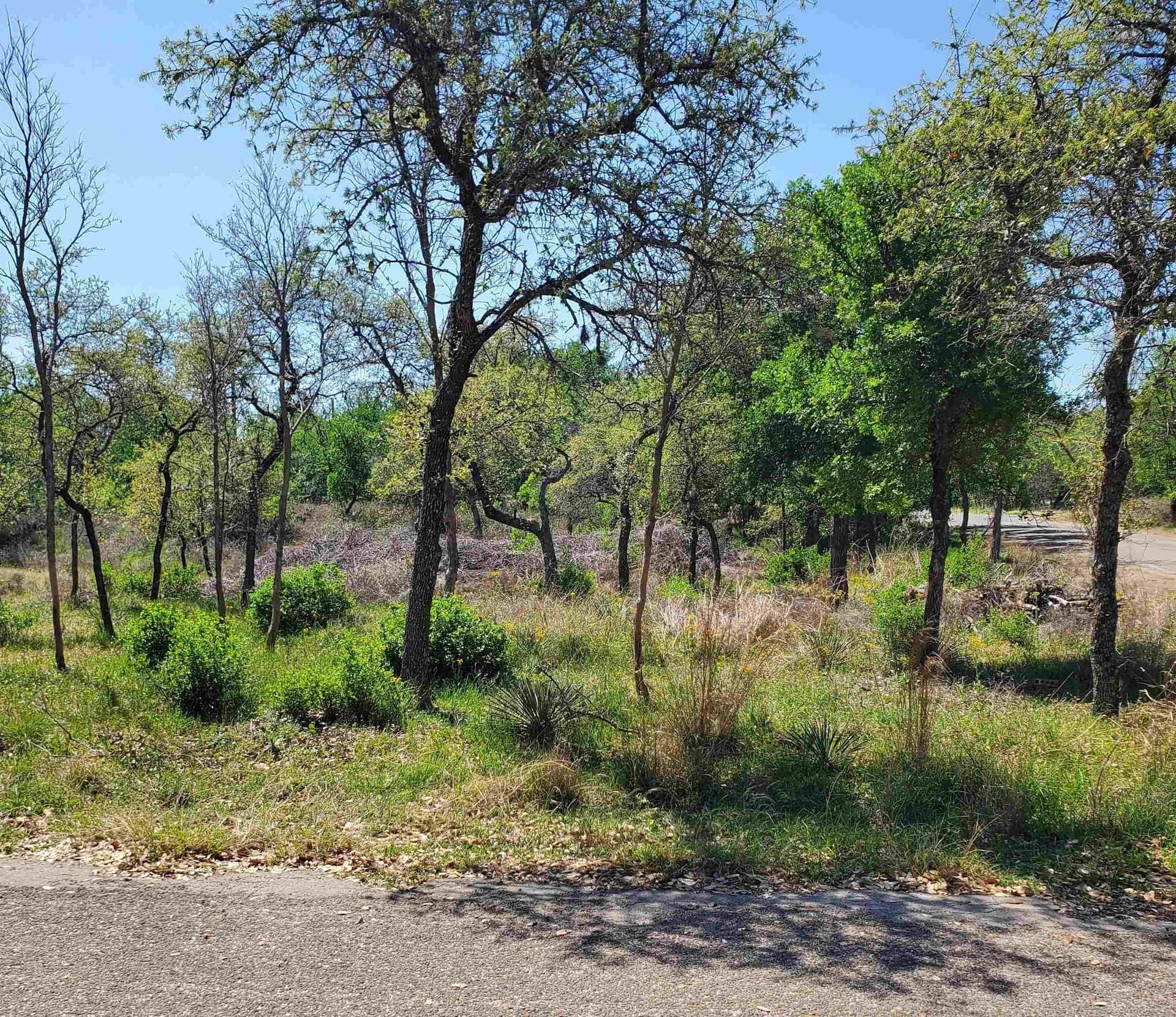 0.11 acres in Burnet County gallery image 2