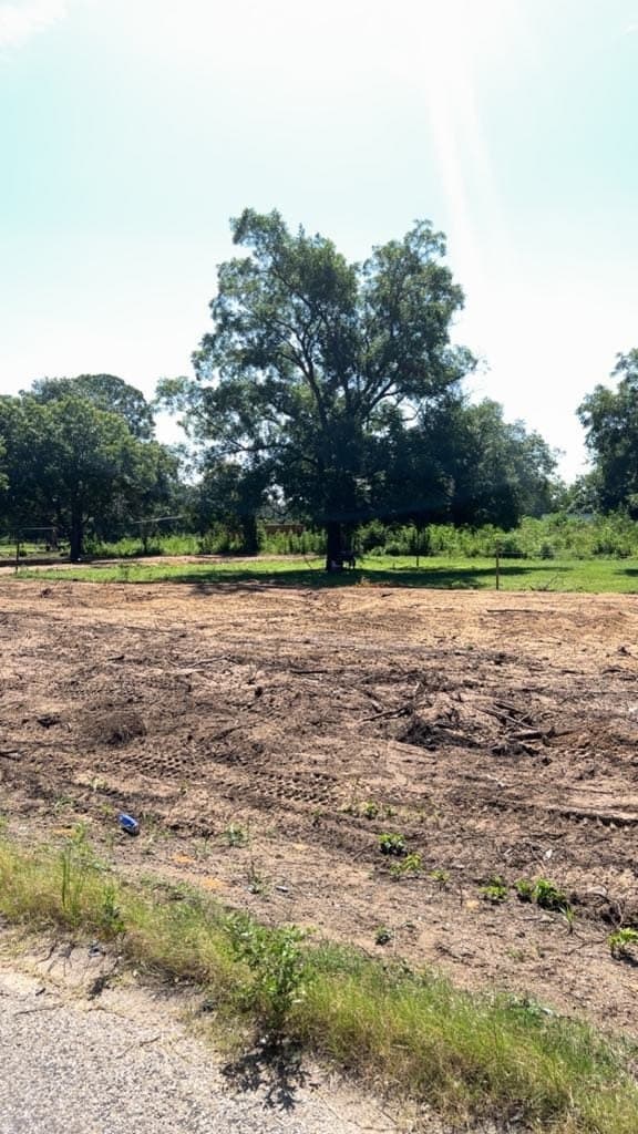 0.2 acres in Dallas County gallery image 4