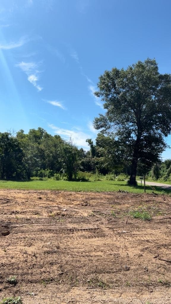 0.2 acres in Dallas County gallery image 2