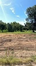 0.2 acres in Dallas County - photo 9