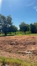 0.2 acres in Dallas County - photo 17