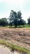 0.2 acres in Dallas County - photo 7