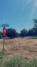 0.2 acres in Dallas County - photo 8