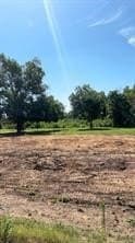 0.2 acres in Dallas County - photo 12