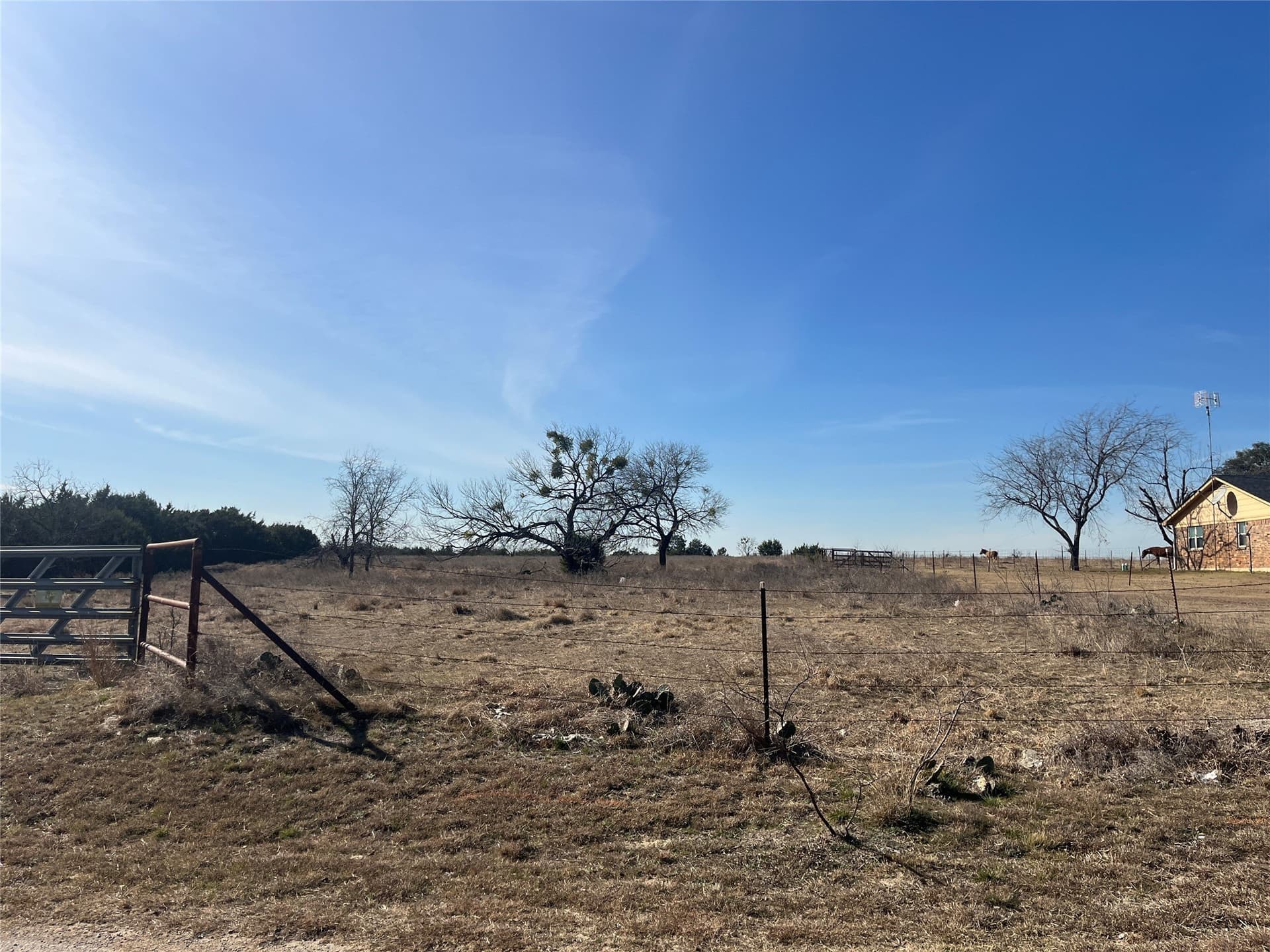 11 acres in Hamilton County - photo 12