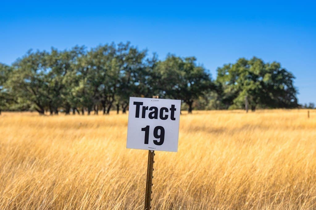 16.21 acres in Kimble County - photo 15