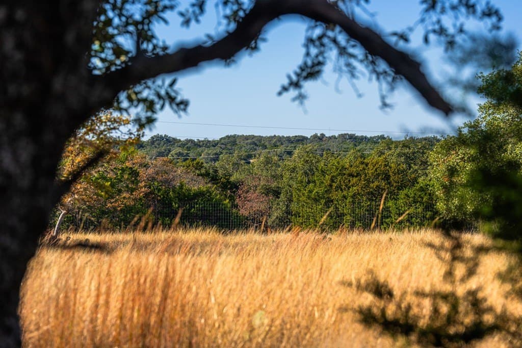 16.21 acres in Kimble County - photo 6