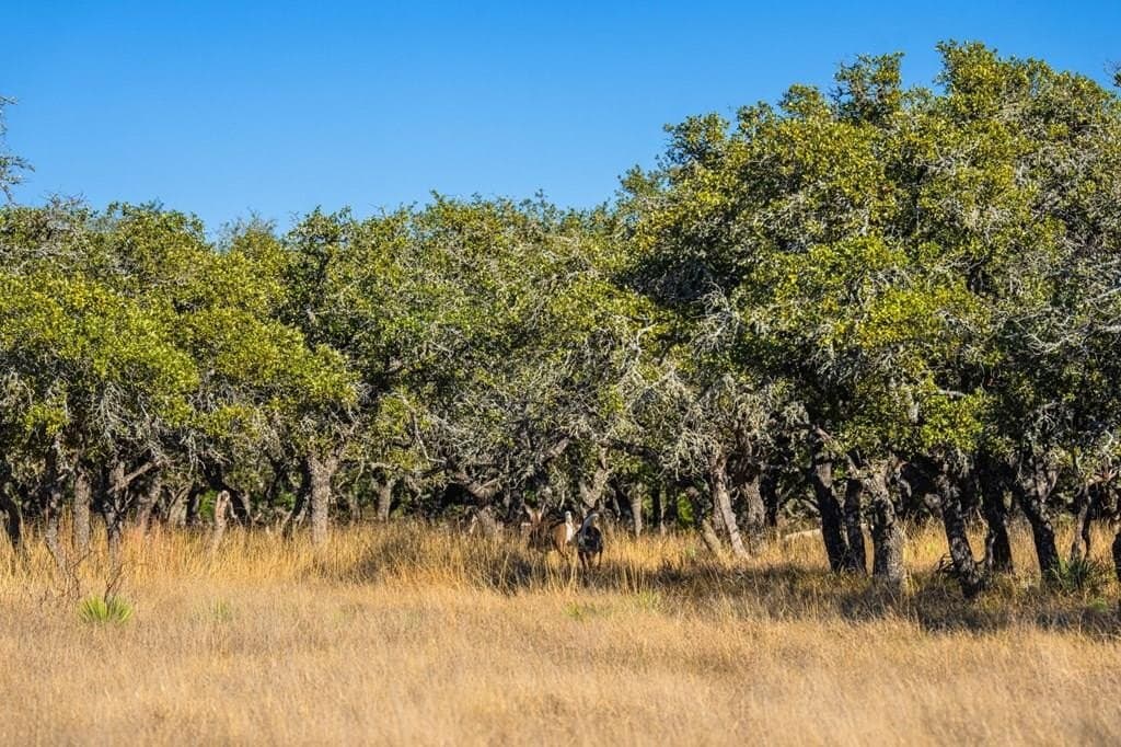 16.21 acres in Kimble County