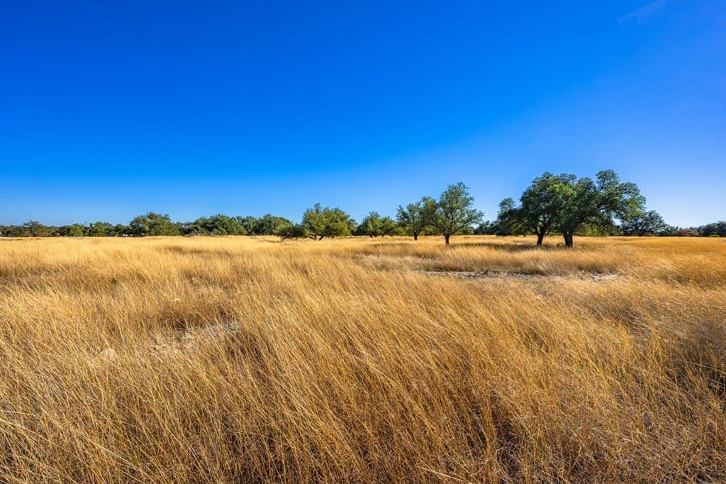 16.21 acres in Kimble County - photo 10