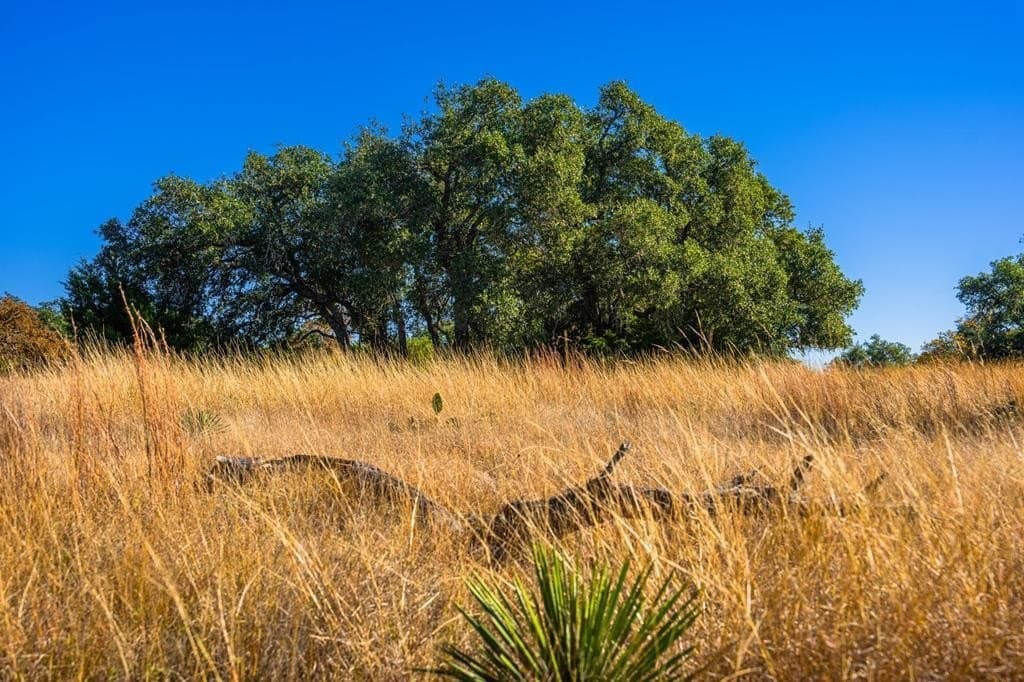 16.21 acres in Kimble County featured view