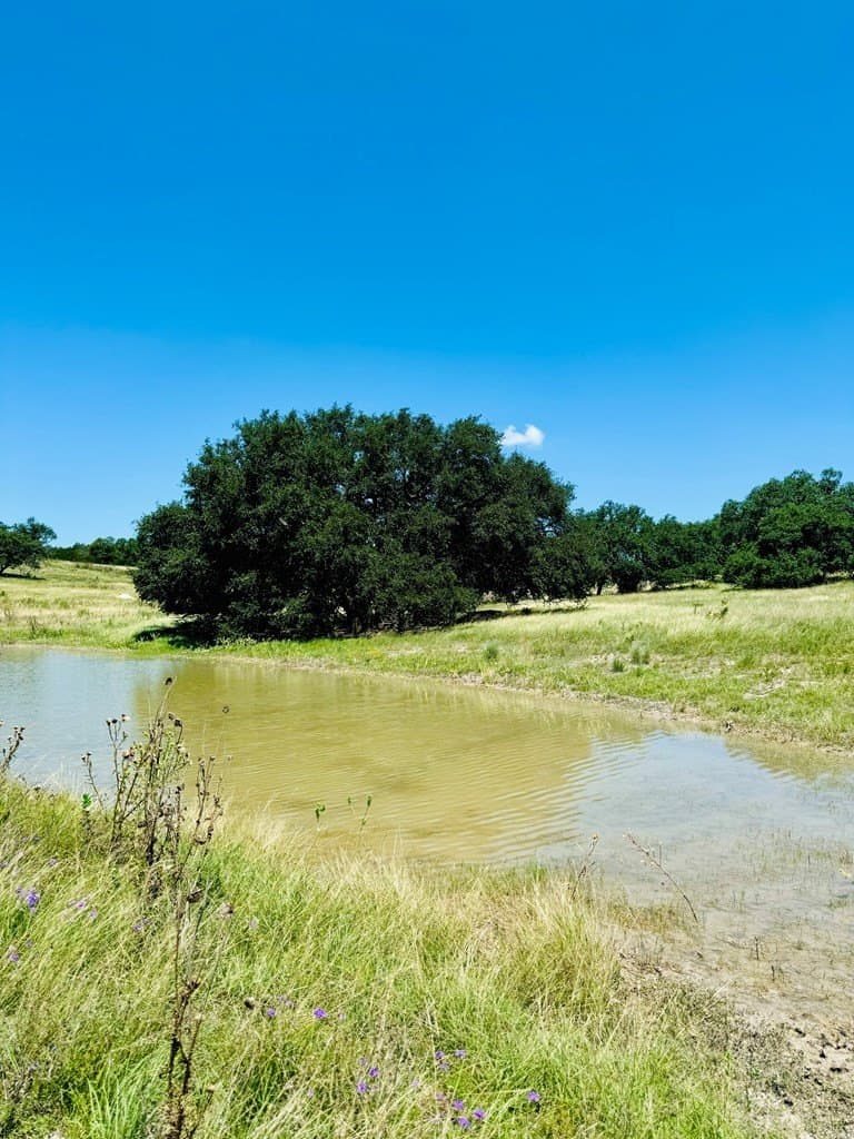 4.47 acres in Gillespie County - photo 9
