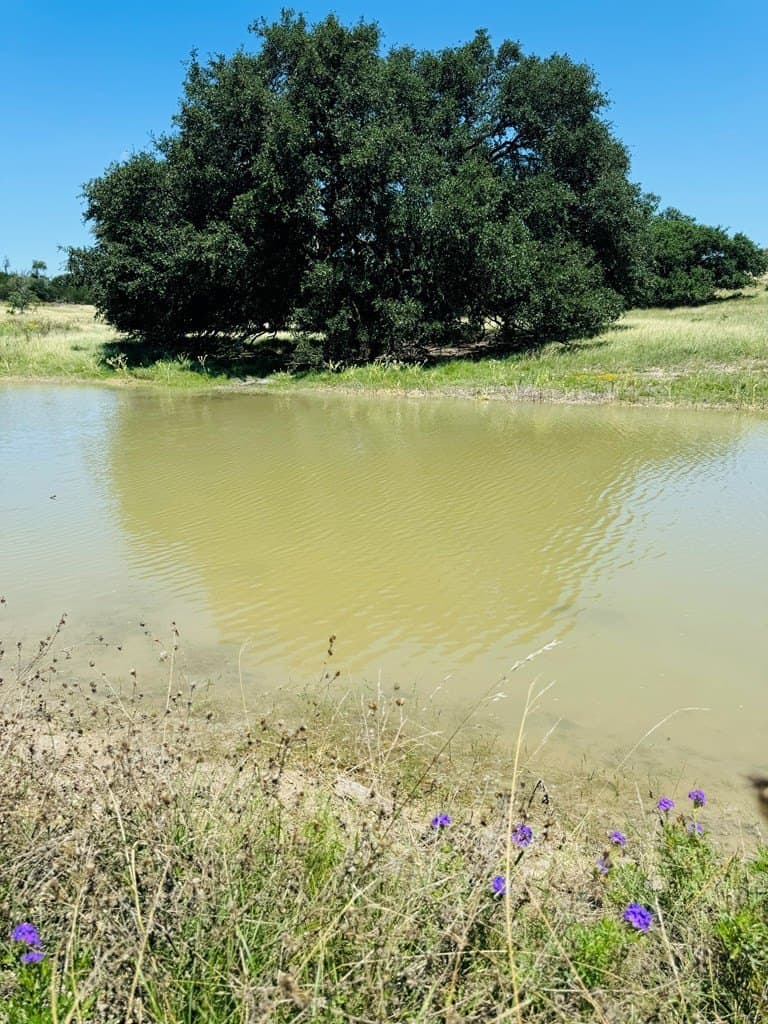 4.47 acres in Gillespie County - photo 10