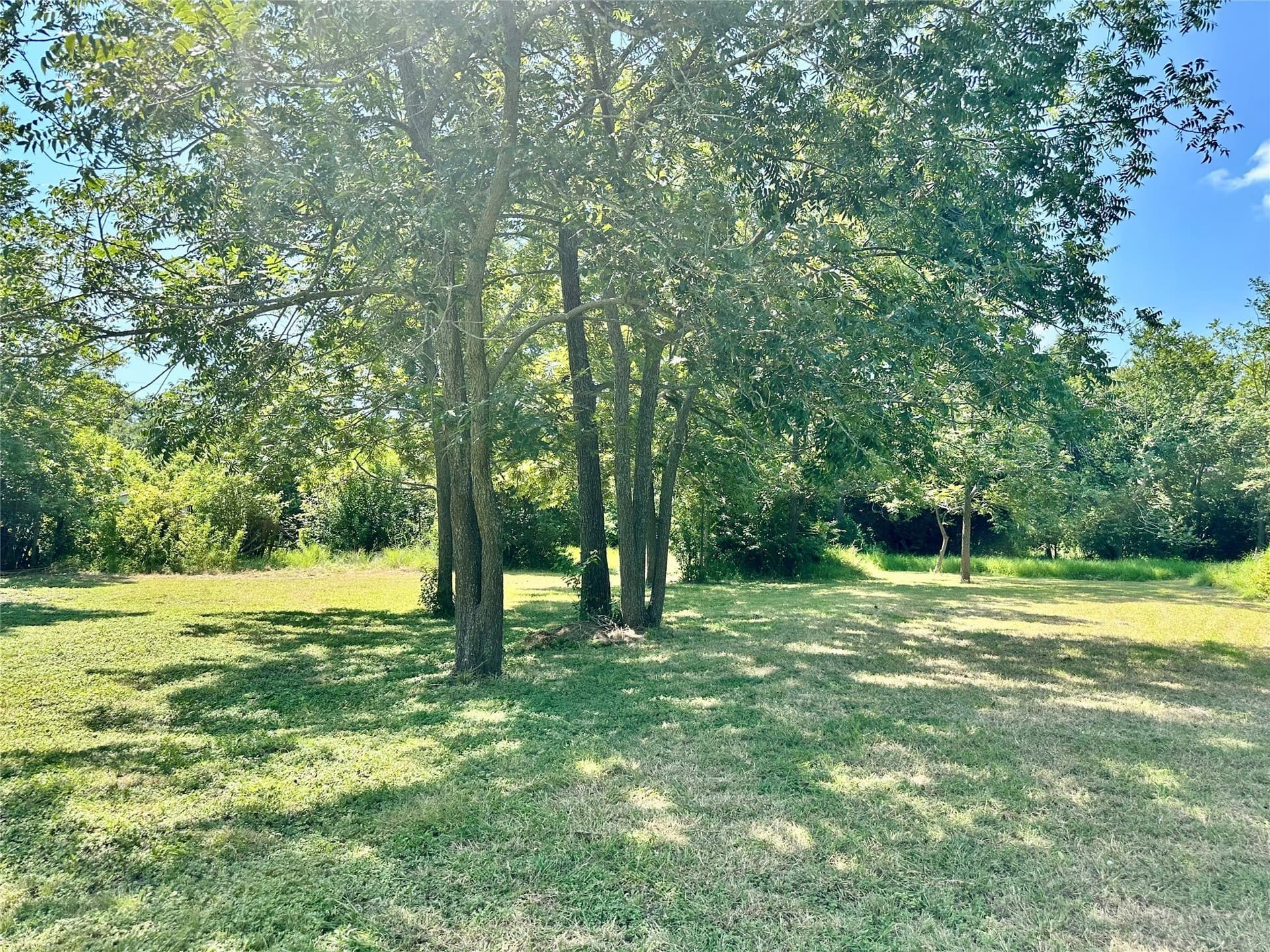 0.15 acres in Bell County - photo 9