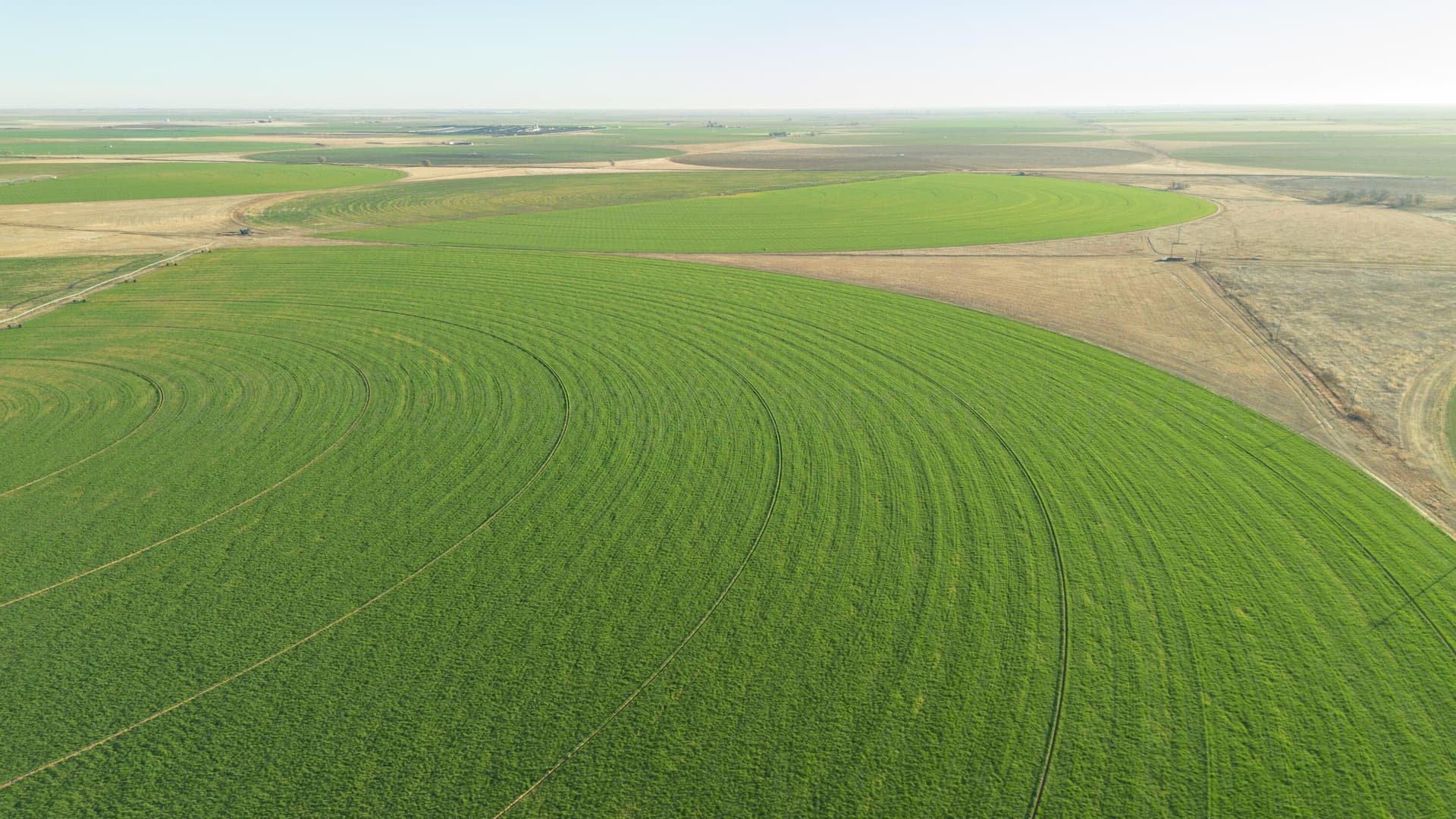 996.52 acres in Castro County - photo 13