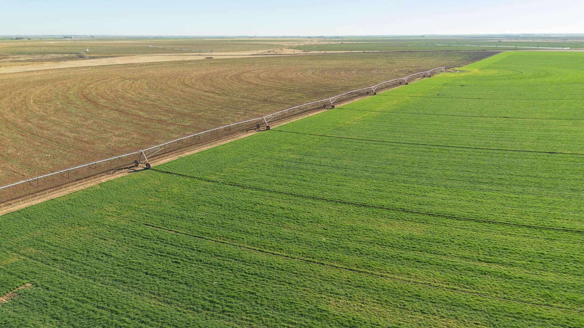 996.52 acres in Castro County - photo 35