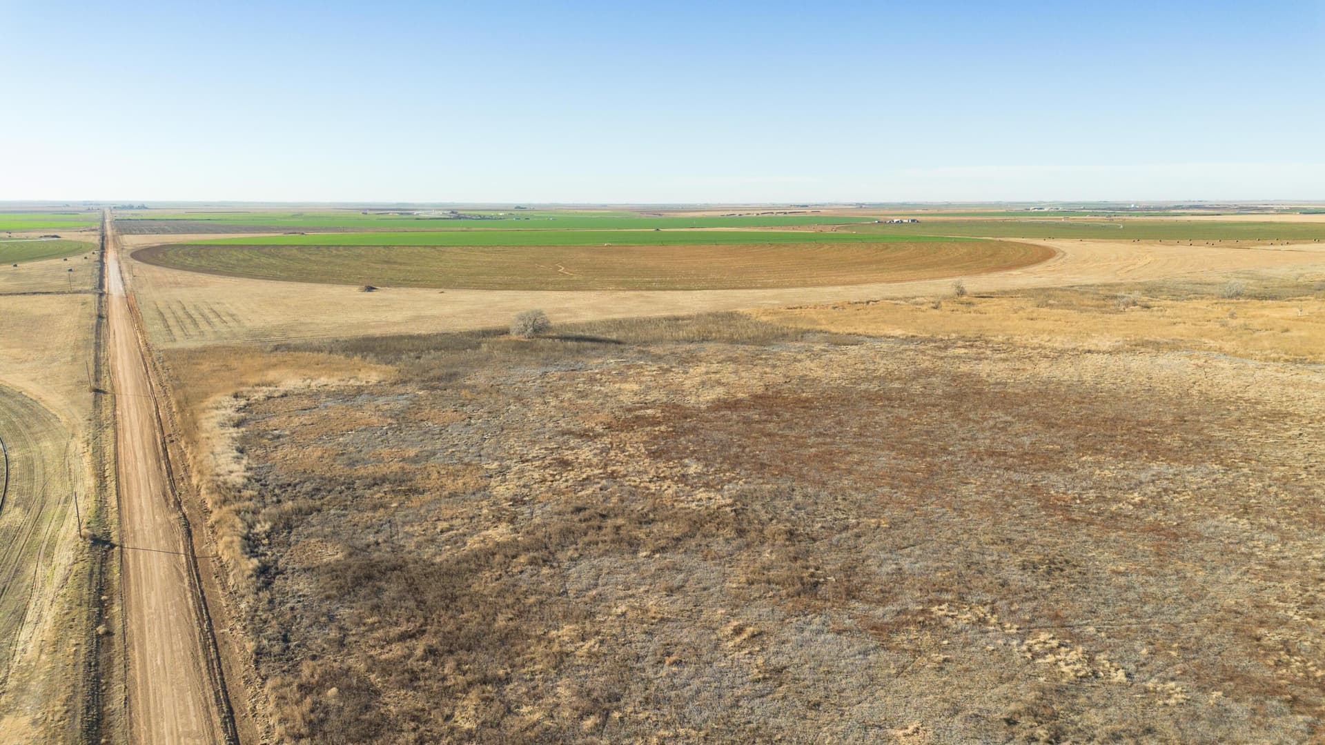 996.52 acres in Castro County - photo 43