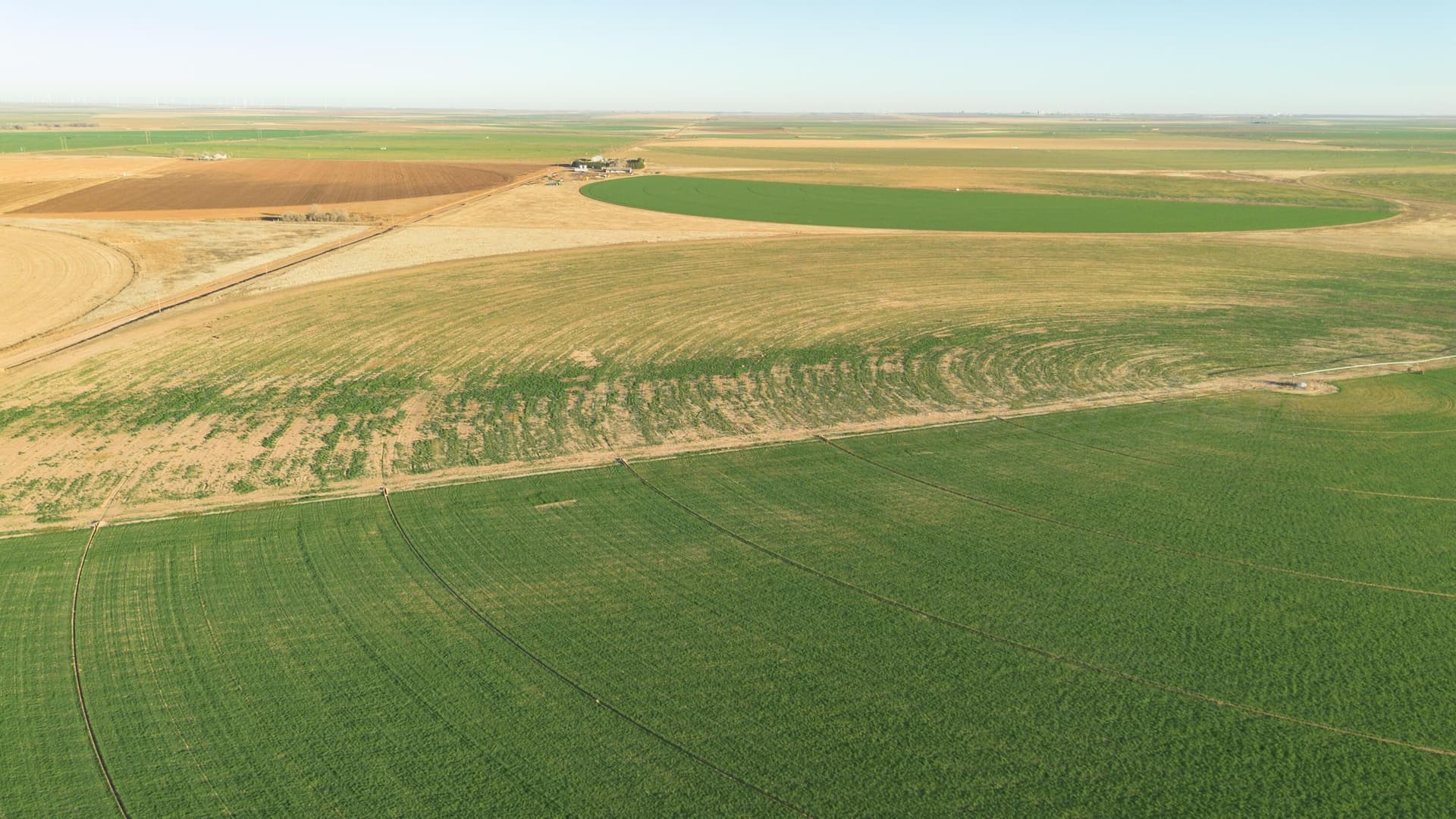 996.52 acres in Castro County - photo 12