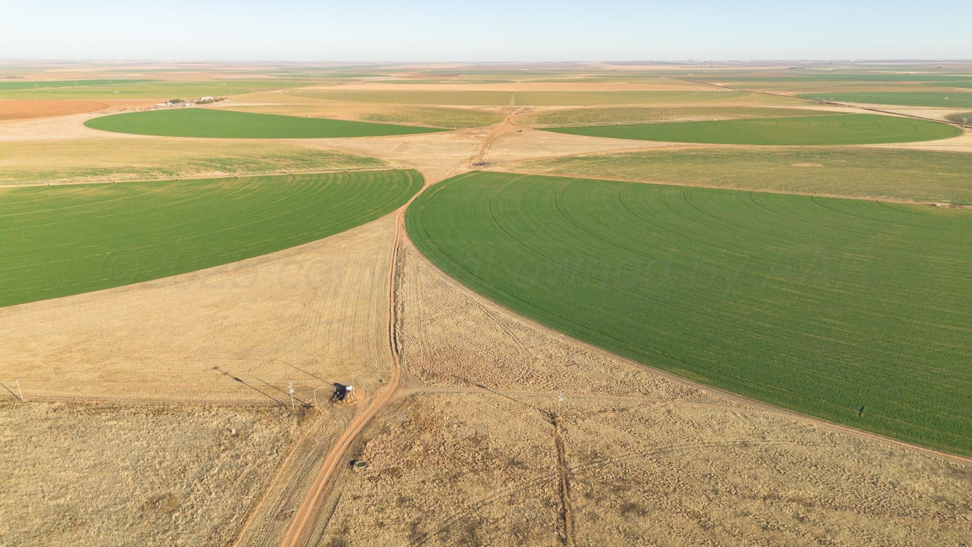 996.52 acres in Castro County - photo 23
