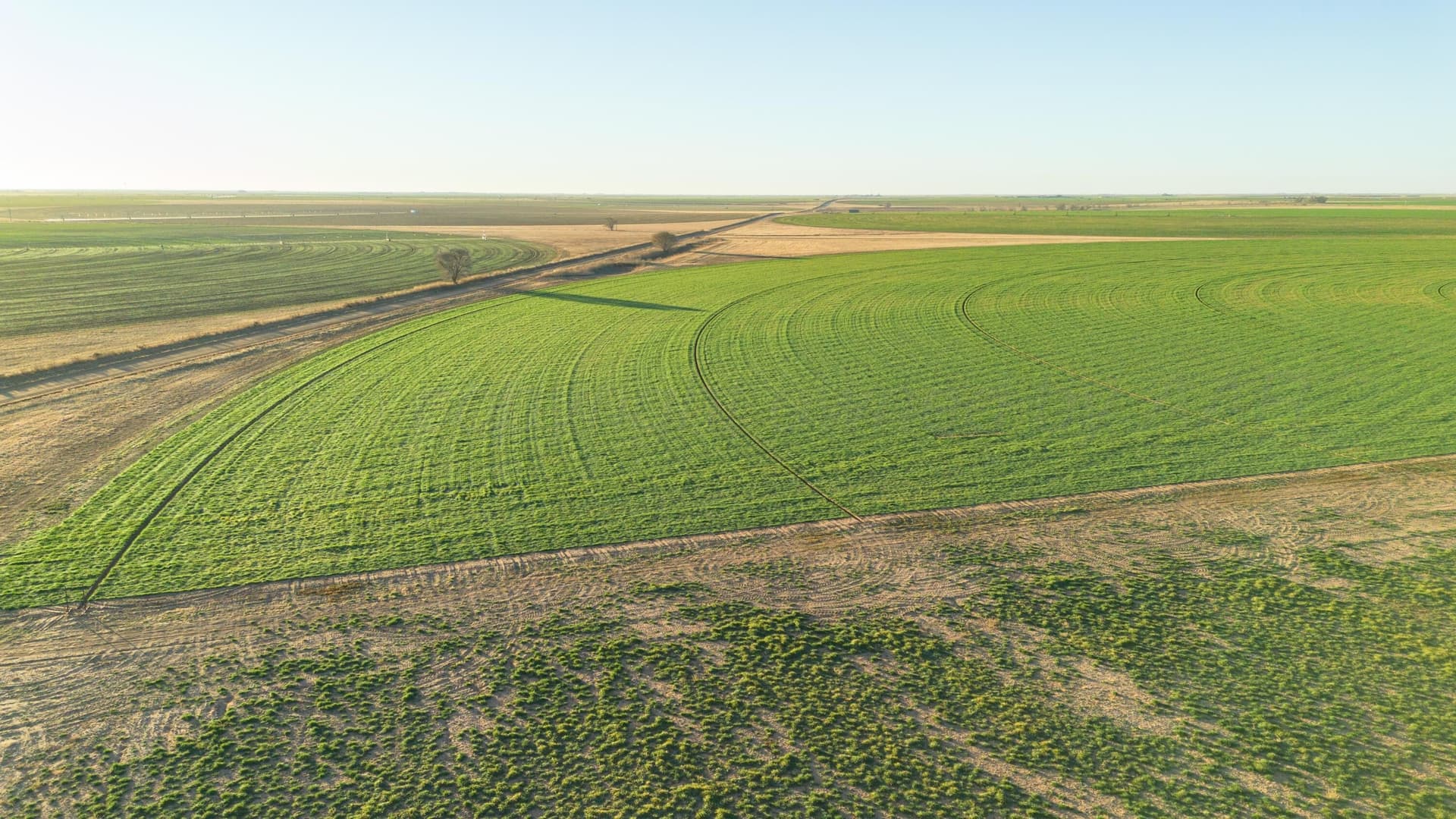 996.52 acres in Castro County - photo 55