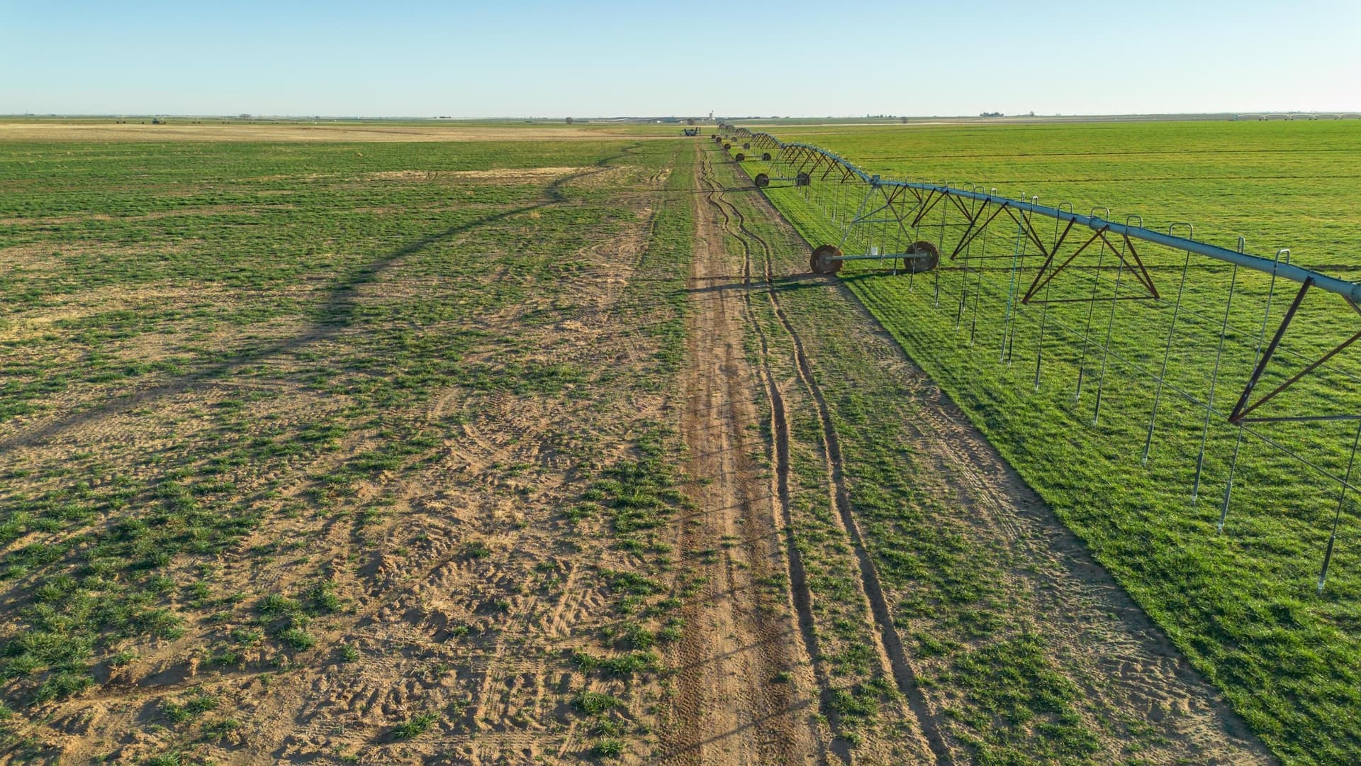 996.52 acres in Castro County - photo 16