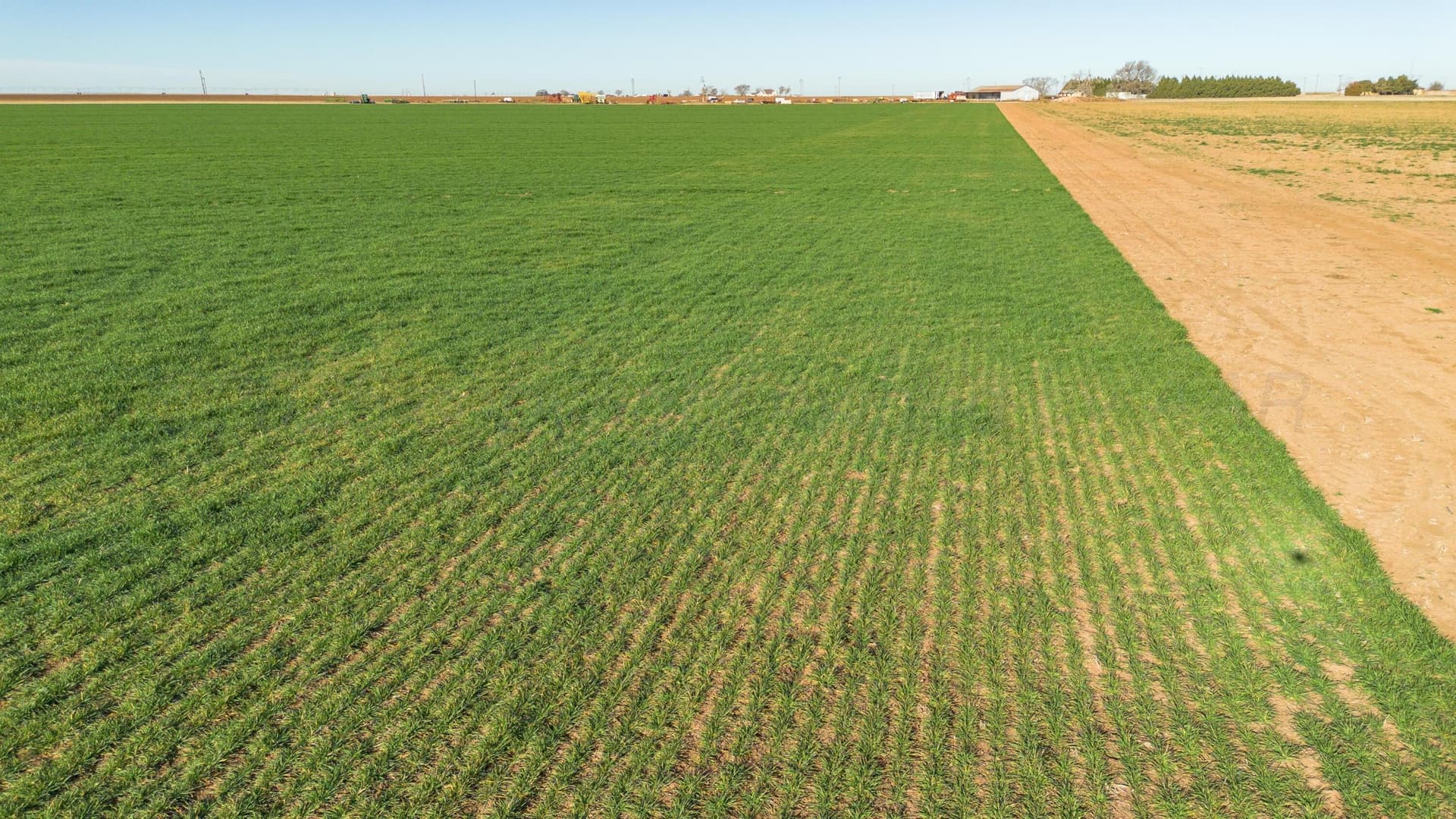 996.52 acres in Castro County - photo 50
