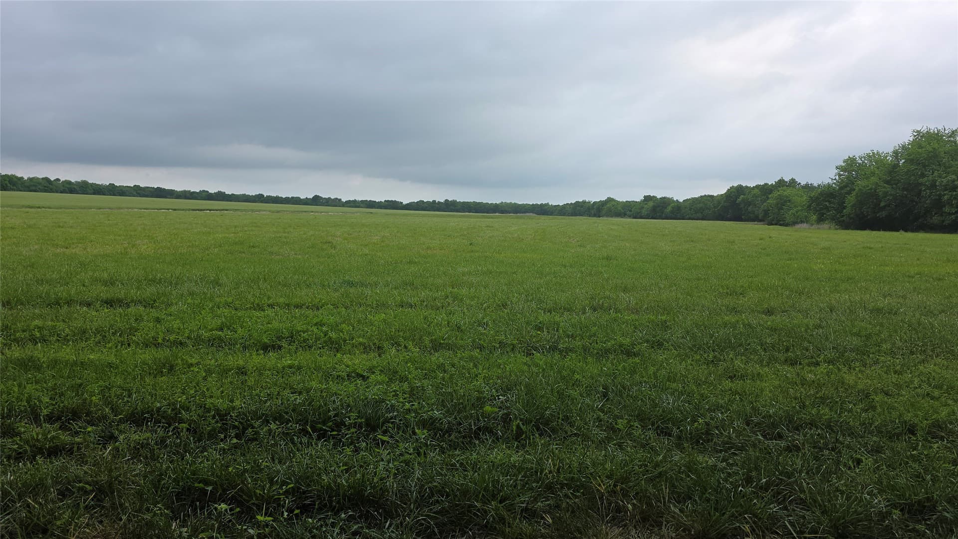 65.55 acres in Fannin County - photo 11
