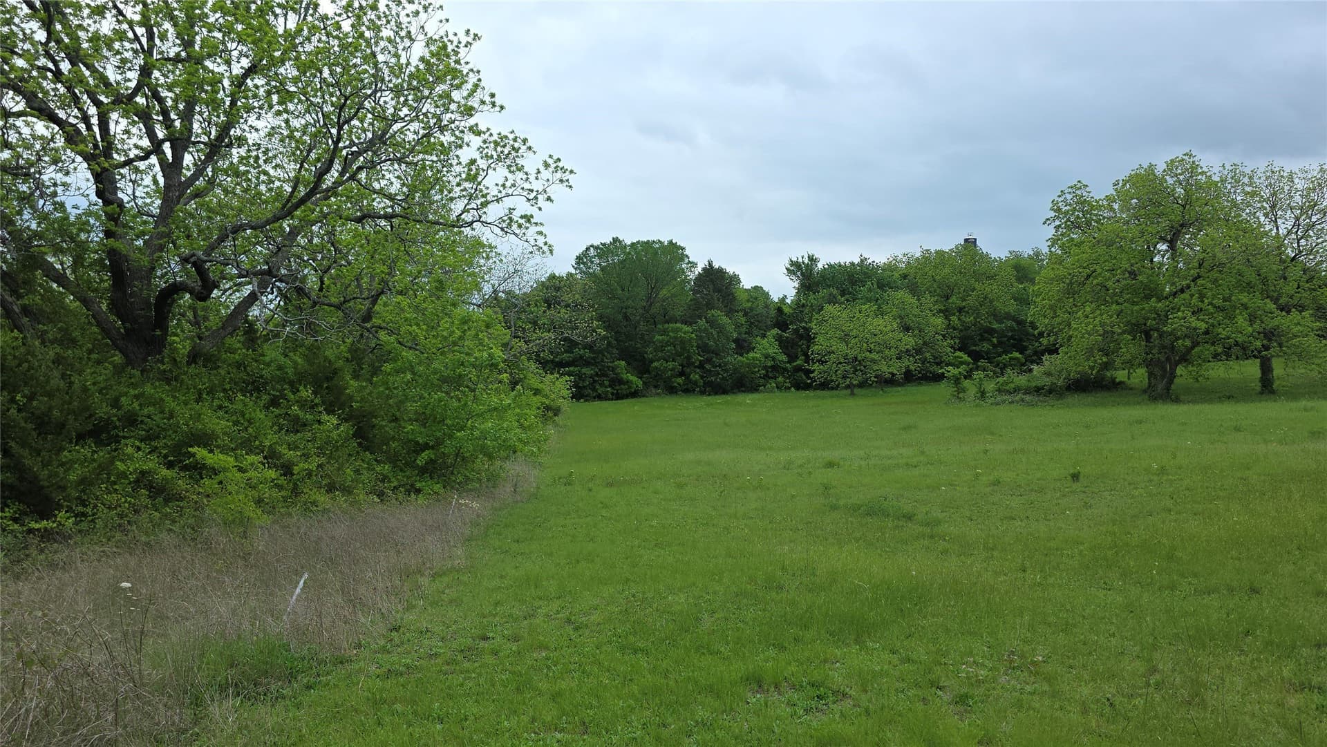 65.55 acres in Fannin County - photo 6
