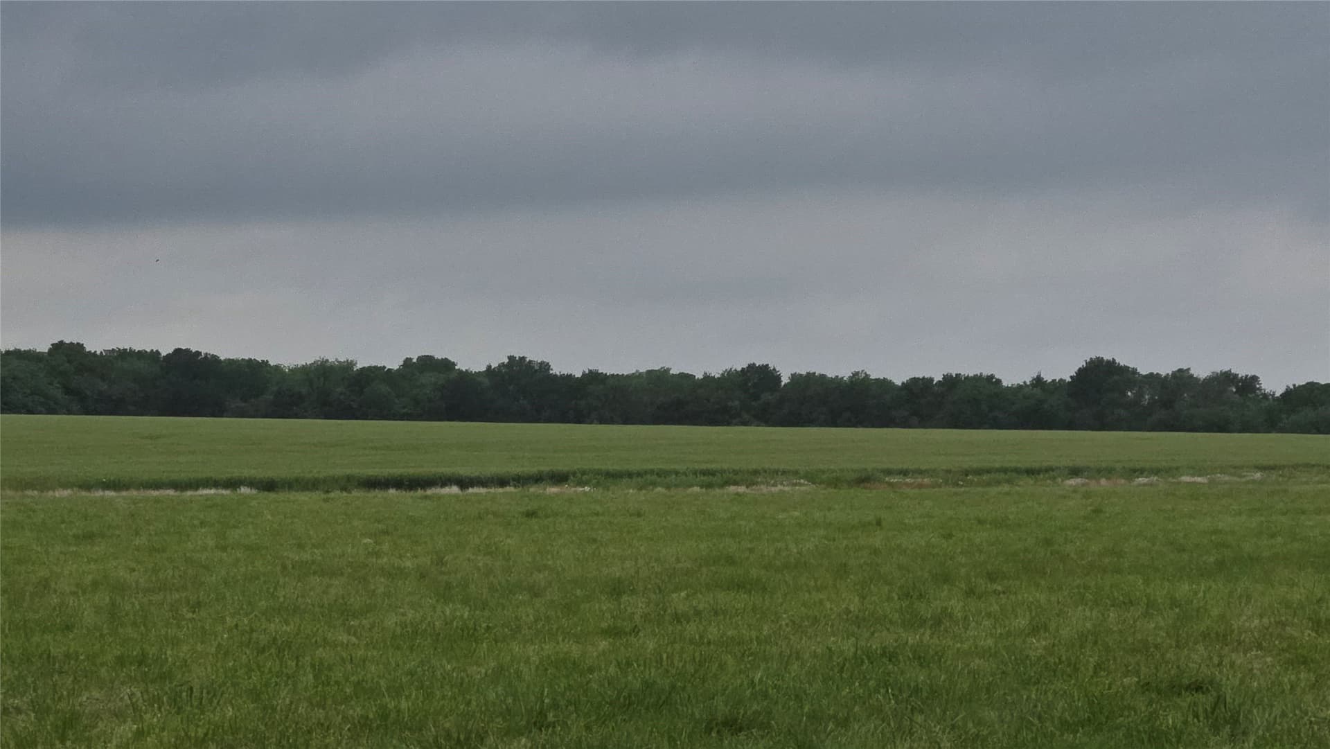 65.55 acres in Fannin County - photo 10