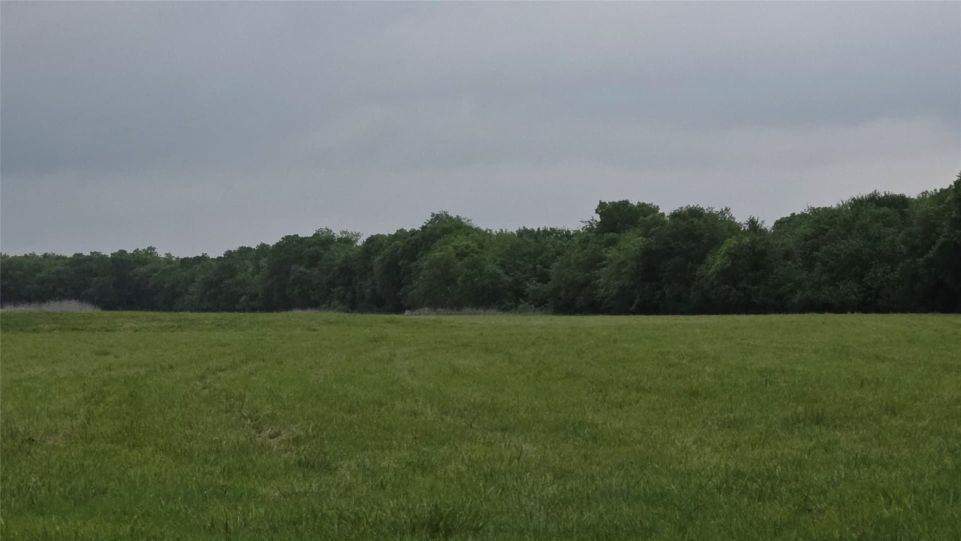 65.55 acres in Fannin County gallery image 3
