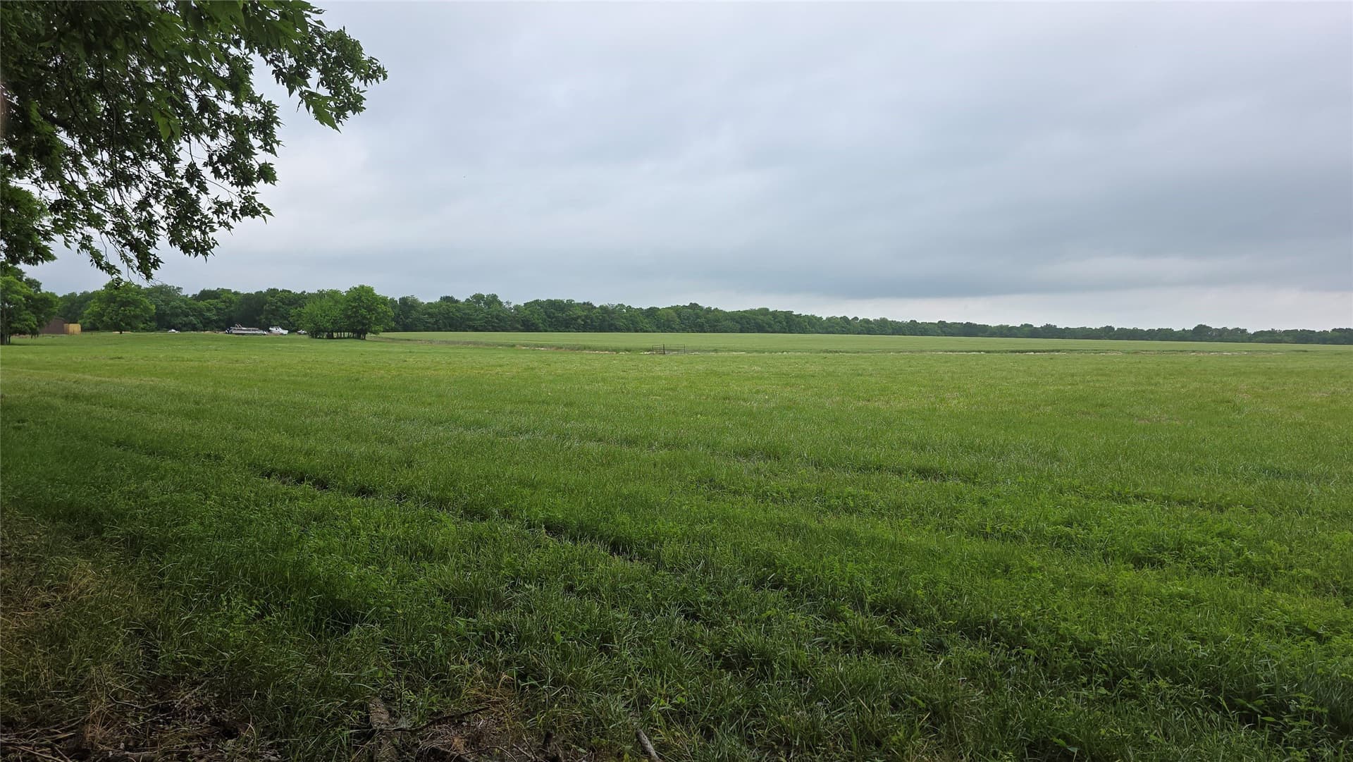 65.55 acres in Fannin County gallery image 4
