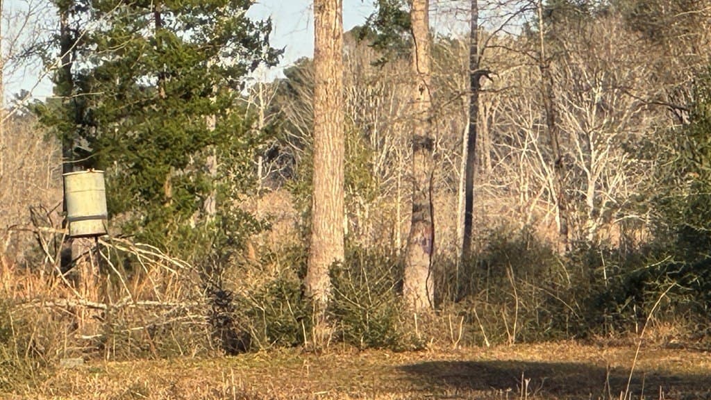 16.58 acres in Texas County - photo 4
