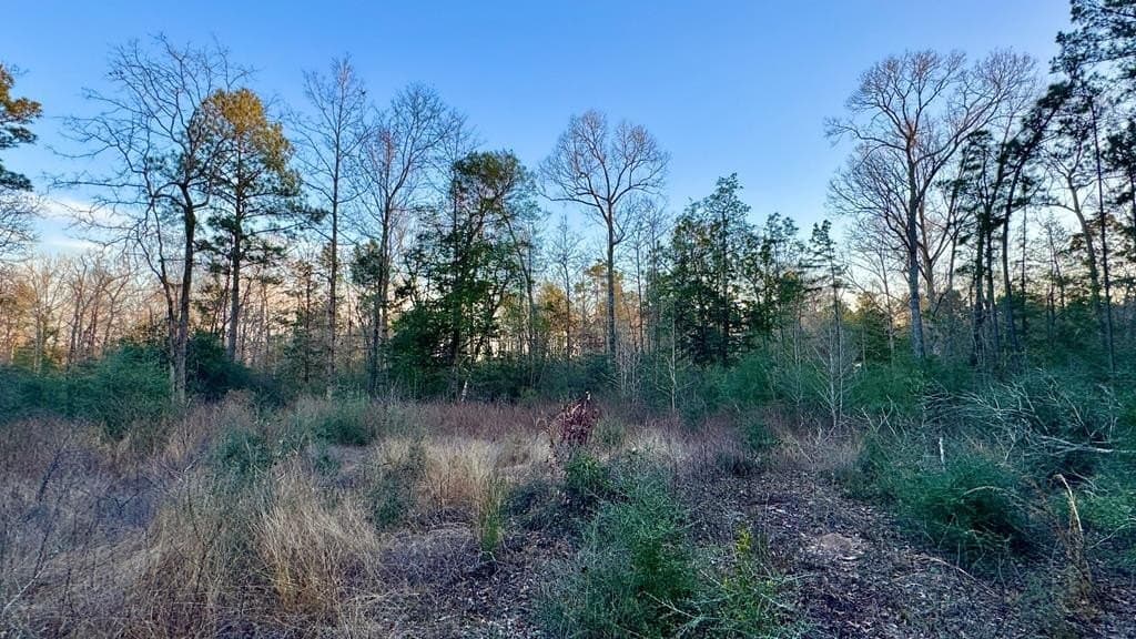 16.58 acres in Texas County - photo 2